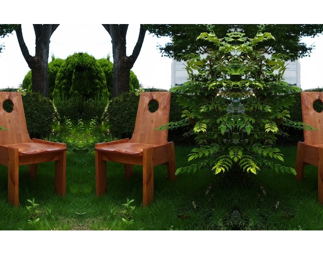 マルショウ(丸庄/MARUSHO) ONDA Side Chair Lのメイン写真