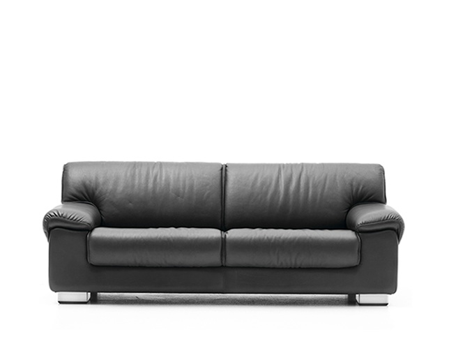 BERG Furniture(ベルグファニチャー) BERG RIO 2Pソファのメイン写真