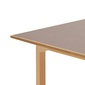 arti Bureau TA4 （天板：デスクトップリノリウム）／テーブルの写真