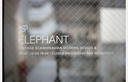 ELEPHANT の画像20