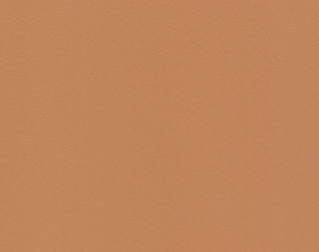 シラカワ(shirakawa) Chocolat ショコラ チェア S-245 スタッキング仕様の写真