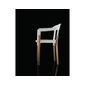 MAGIS Steelwood Chairの写真