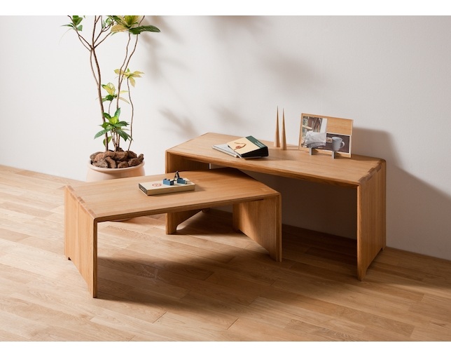 杉本家具 BASIC ツインローシェルフの写真