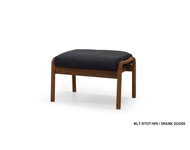 マスターウォール(MASTERWAL/AKASE) BLTウンジチェアの写真