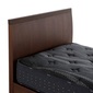 Serta HOTEL STYLE 600　収納タイプの写真