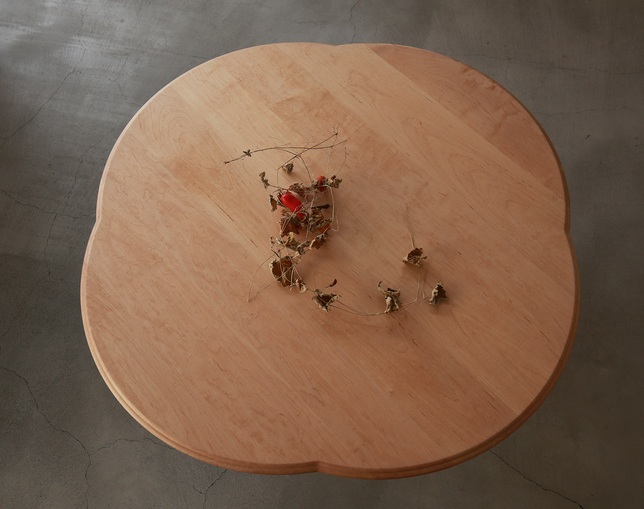 サーブ(SERVE) Table type 22 Hanamaruの写真