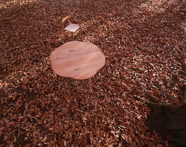 サーブ(SERVE) Table type 23の写真