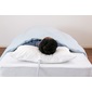 フランスベッド いびき対策　快眠支援枕の写真