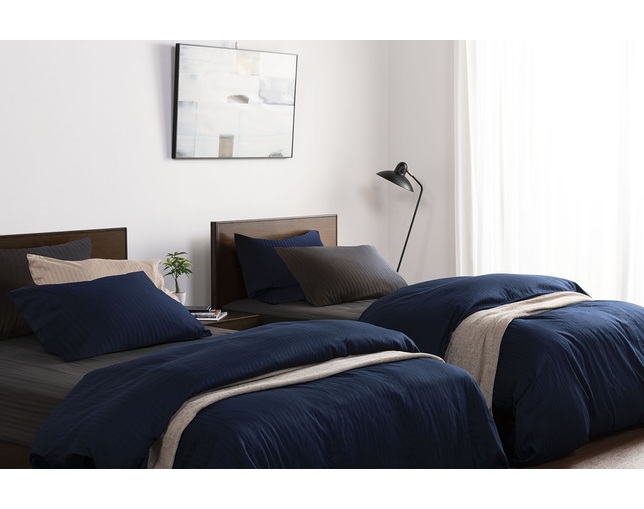 フランスベッド(FRANCEBED) ライン＆アースN　ピローケースの写真