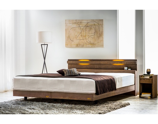 フランスベッド(FRANCEBED) FAD-C1の写真