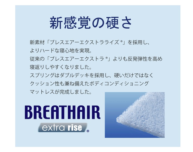 フランスベッド(FRANCEBED) DD-BAE-ロイヤルの写真