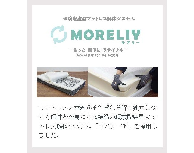 フランスベッド(FRANCEBED) TW-106AgPW-MONの写真