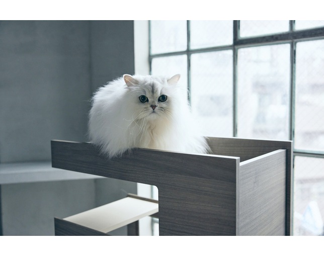 フランスベッド(FRANCEBED) PE-04 キャットタワーパーテーションの写真
