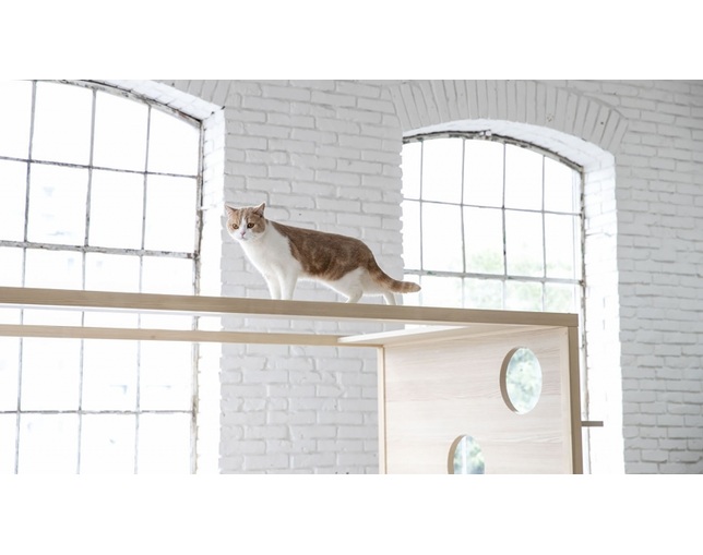 フランスベッド(FRANCEBED) PE-10 キャットタワー ベッドの写真