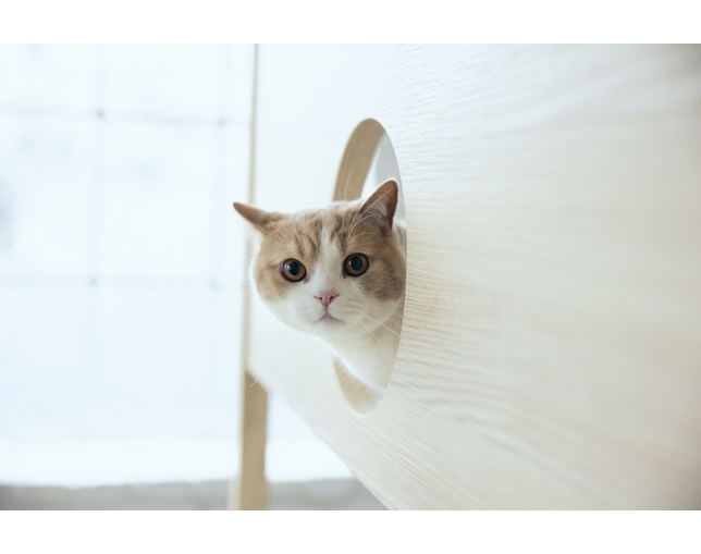 フランスベッド(FRANCEBED) PE-10 キャットタワー ベッドの写真