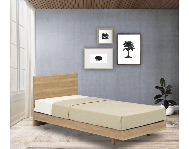 フランスベッド(FRANCEBED) PR70-05Fの写真