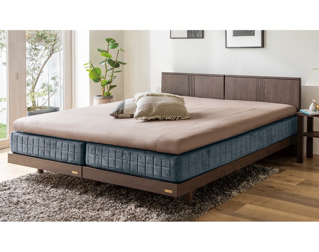 フランスベッド(FRANCEBED) LT-Plus LXAgのメイン写真