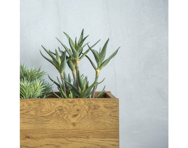 クラッシュプロジェクト(CRUSH CRASH PROJECT) グリット プランターの写真