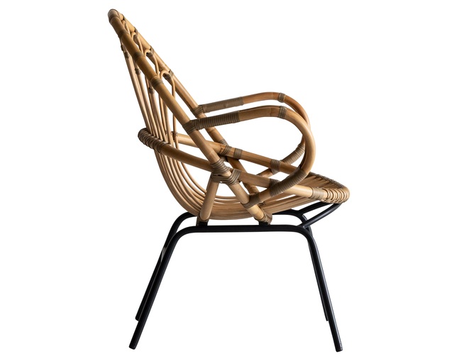 クラッシュプロジェクト(CRUSH CRASH PROJECT) ビバルディII ラウンジチェアの写真