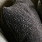 CRUSH CRASH PROJECT オピアム コロラド ソファの写真