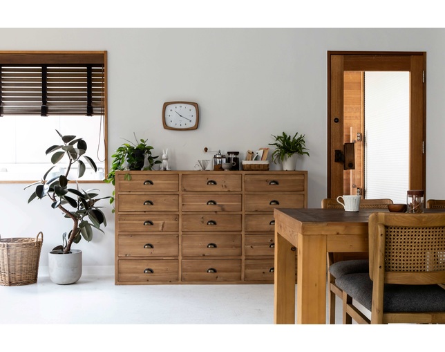 クラッシュプロジェクト(CRUSH CRASH PROJECT) チェスト　ワノンの写真