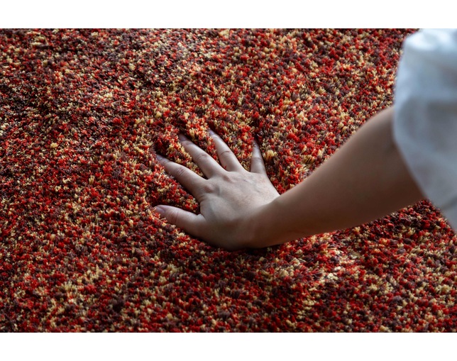 クラッシュプロジェクト(CRUSH CRASH PROJECT) グラド　ラグの写真