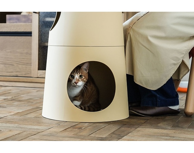 クラッシュプロジェクト(CRUSH CRASH PROJECT) プーラ テーブルの写真