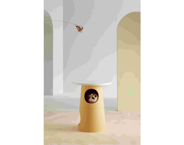 クラッシュプロジェクト(CRUSH CRASH PROJECT) プーラ テーブルの写真