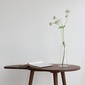 greeniche Kidney Side Tableの写真