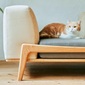 greeniche Luu Sofa cat life modelの写真