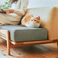 greeniche Luu Sofa cat life modelの写真
