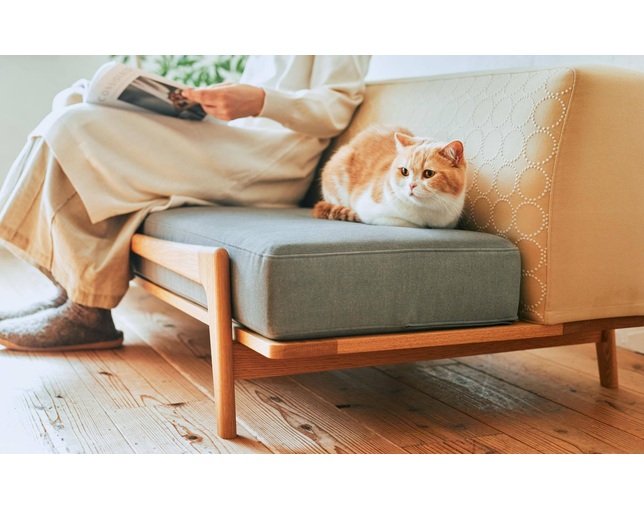 グリニッチ(greeniche) Luu Sofa cat life modelの写真