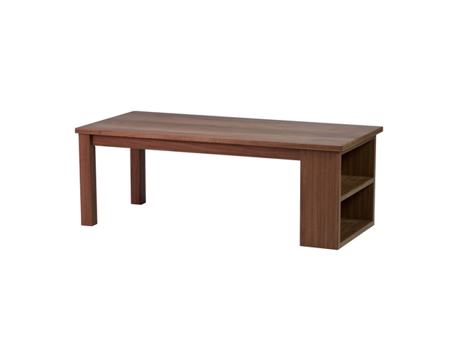 ISSEIKI(イッセイキ) NEO LIVING TABLE 110 (WN)の写真