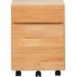 ISSEIKI DALDIA SIDE CHEST 41 (AL-NA)の写真