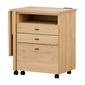 ISSEIKI ALTERA WAGON DESK 60 (WO-V-NA)の写真