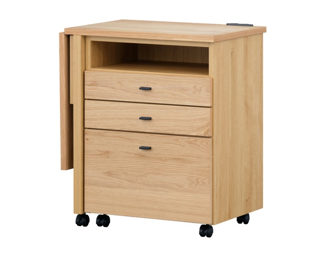 ISSEIKI(イッセイキ) ALTERA WAGON DESK 60 (WO-V-NA)の写真