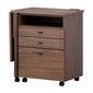 ISSEIKI ALTERA WAGON DESK 60 (WN-V-MBR)の写真