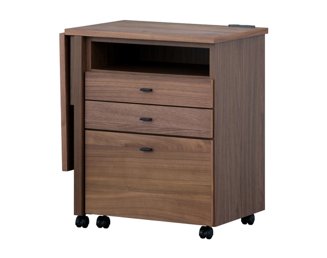 ISSEIKI(イッセイキ) ALTERA WAGON DESK 60 (WN-V-MBR)の写真