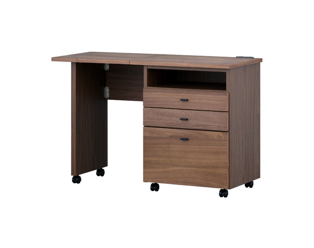 ISSEIKI(イッセイキ) ALTERA WAGON DESK 60 (WN-V-MBR)の写真