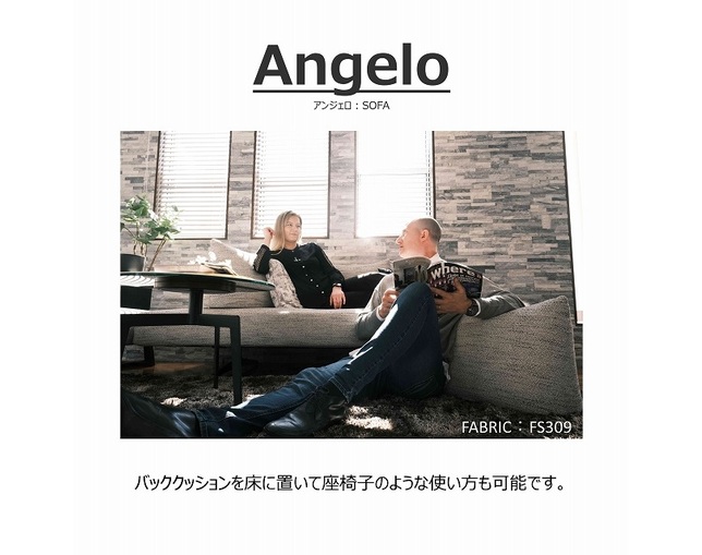 ソングドリーム(songdream) Angelo(アンジェロ) バックレストクッションの写真