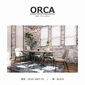 songdream ORCA(オルカ）ダイニングチェアの写真