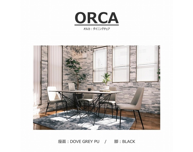 ソングドリーム(songdream) ORCA(オルカ）ダイニングチェアの写真