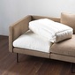 REMBASSY HEMM sofa [A]の写真
