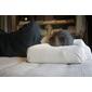 RELAX BEDSYSTEMS JAPAN RELAXラテックスまくらの写真