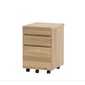 HOTTA WOODY クオン4004 袖の写真