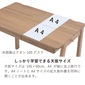HOTTA WOODY ルオム4104 105本体の写真