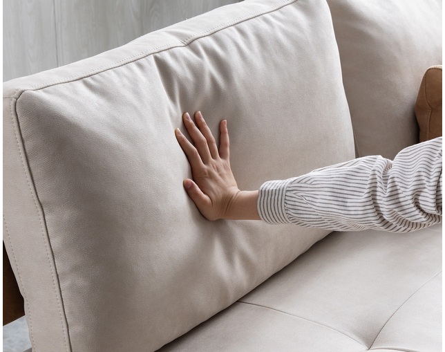 nora.(ノラ) エイダ　ソファの写真