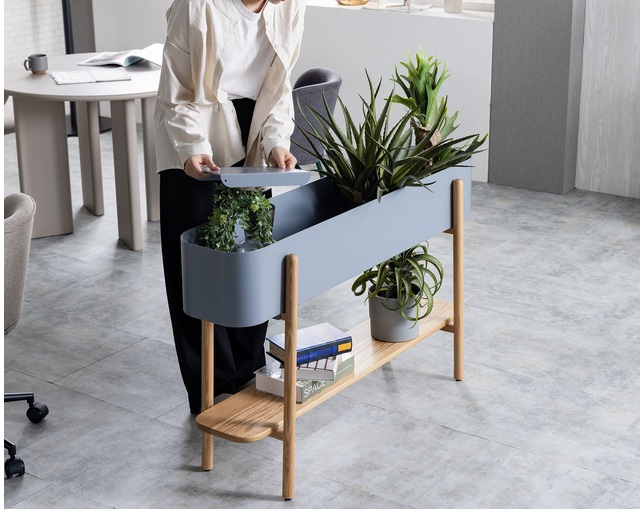 nora.(ノラ) アスピ　プランターの写真