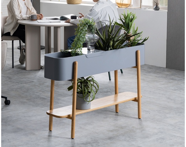 nora.(ノラ) アスピ　プランターの写真