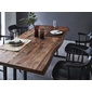 NIPPONAIRE DINING TABLE RESTERの写真